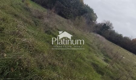 Istria, terreno agricolo Marčana