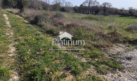 Istra,Šišan poljoprivredno zemljište u prodaji