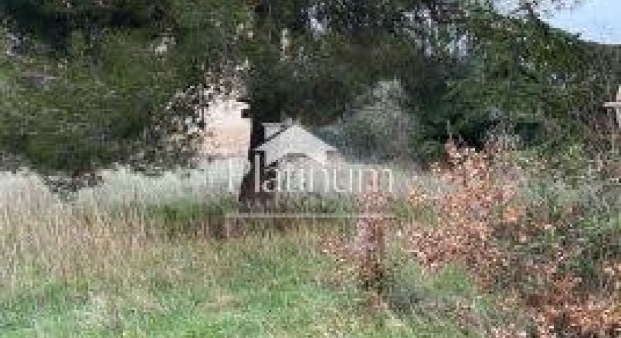 Istra, Fasana, terreno edificabile con vecchia casa