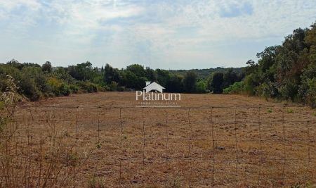 Istra, okolica Fažane, građevinsko zemljište turističke namjene