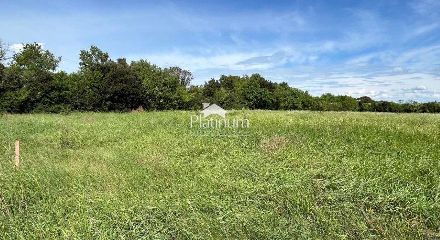 Istria, Šišan, terreno agricolo più bello