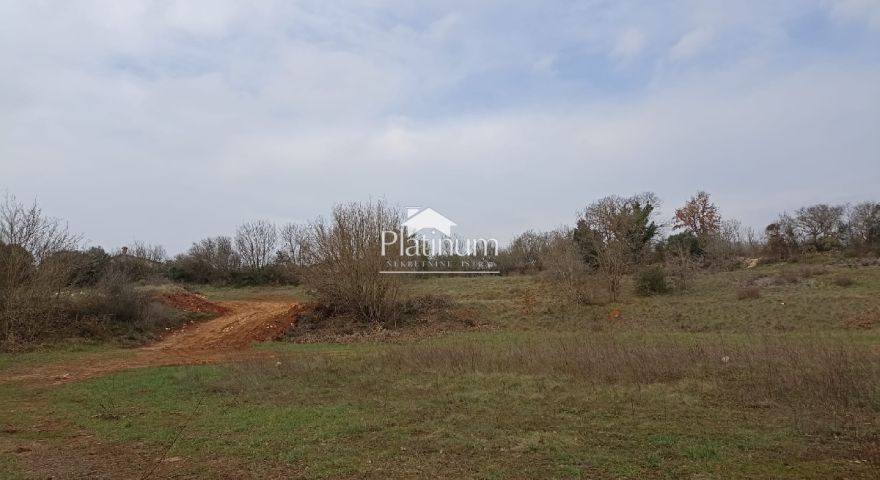 Istra, Šišan terreno agricolo di 503 m2 in vendita Istra, Šišan terreno agricolo di 503 m2 in vendita