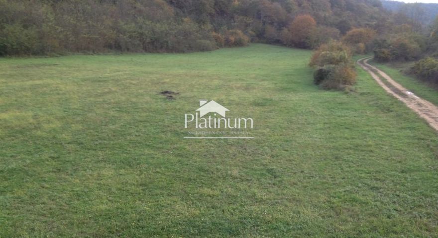 Istria, Canfanaro terreno adatto al turismo equestre Istria, Canfanaro terreno adatto al turismo equestre