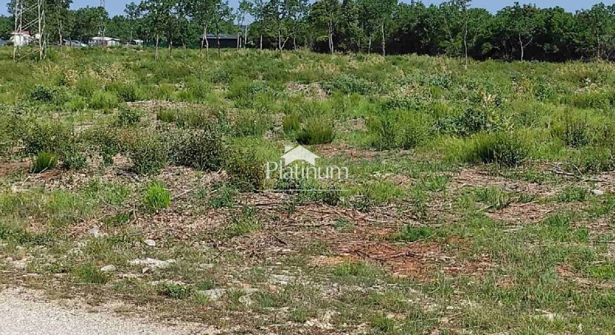 Agricola superficie del terreno 408 m2, 2000 m dal mare Agricola superficie del terreno 408 m2, 2000 m dal mare