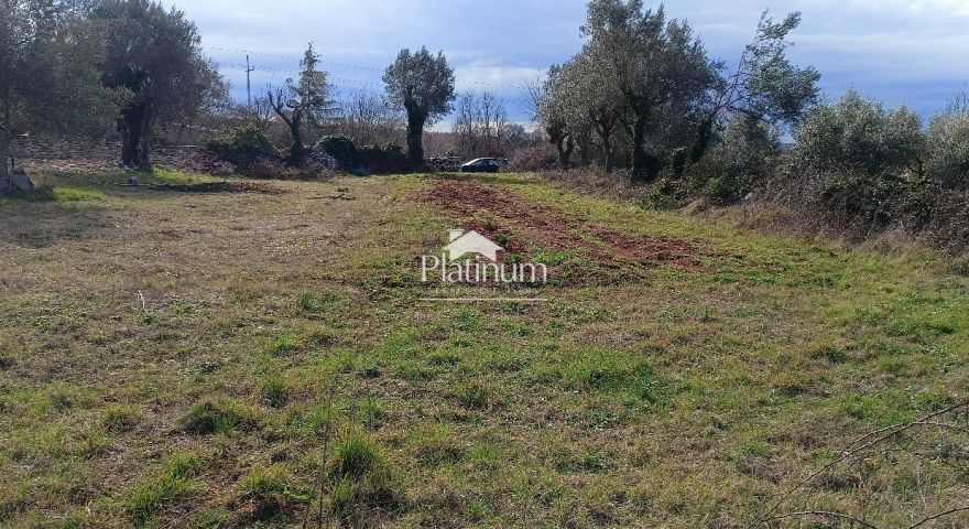 Istria, Smoljanci, terreno agricolo Istria, Smoljanci, terreno agricolo