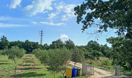 Istra, okolica Savičente, kuća za odmor s maslinikom i vinogradom