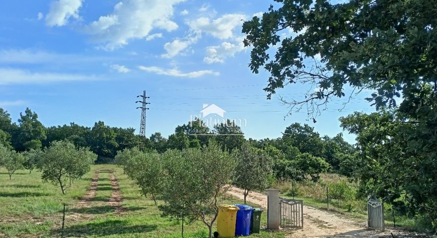 Istria, dintorni di Savičenta, casa per vacanze con uliveto e vigneto Istria, dintorni di Savičenta, casa per vacanze con uliveto e vigneto