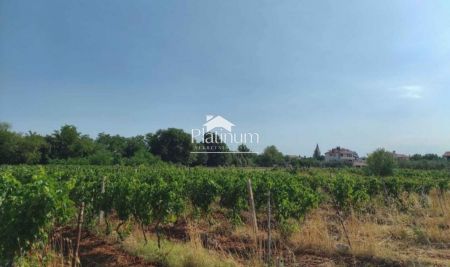 Istra,Šišan  poljoprivredno-vinograd