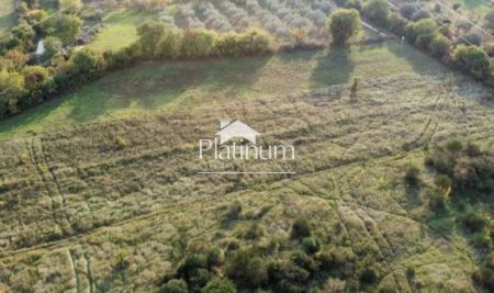 Istria, Galižana agricultural land for sale