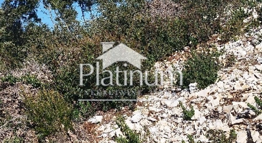 Istra,Pavićini poljoprivredno zemljište 500 m od mora Istra,Pavićini poljoprivredno zemljište 500 m od mora