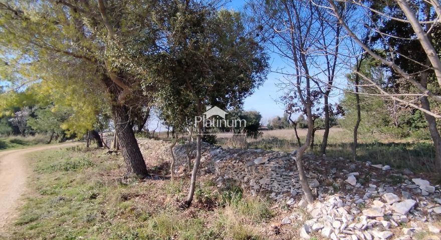 Istria, Kavran terreno agricolo in vendita Istria, Kavran terreno agricolo in vendita