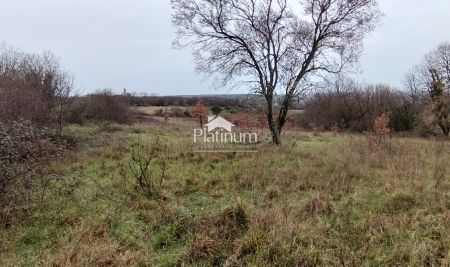 Istria, Cokuni for sale combined land