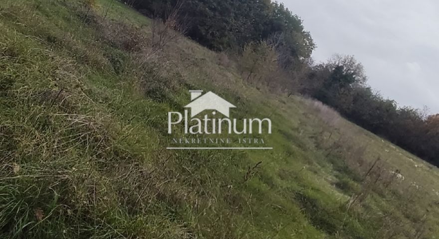 Istra,Marčana poljoprivredno zemljište Istra,Marčana poljoprivredno zemljište