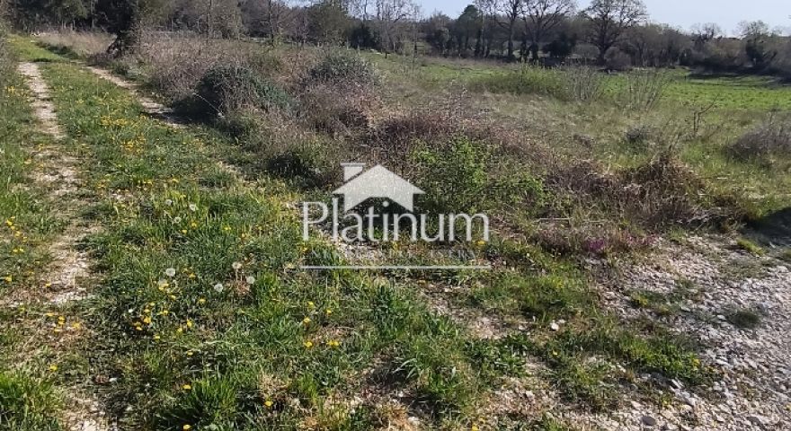 Istria, terreno agricolo in vendita a Šišan Istria, terreno agricolo in vendita a Šišan