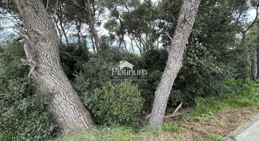 Istra, Medulin, comune, terreno per scopi sportivi e ricreativi Istra, Medulin, comune, terreno per scopi sportivi e ricreativi
