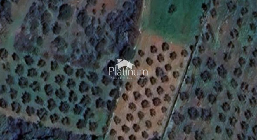 Istra, Galižana, poljoprivredno zemljište 3340 m2 Istra, Galižana, poljoprivredno zemljište 3340 m2