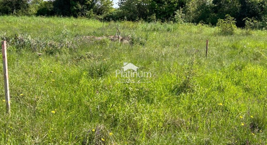 Istria, Šišan, terreno agricolo più bello Istria, Šišan, terreno agricolo più bello