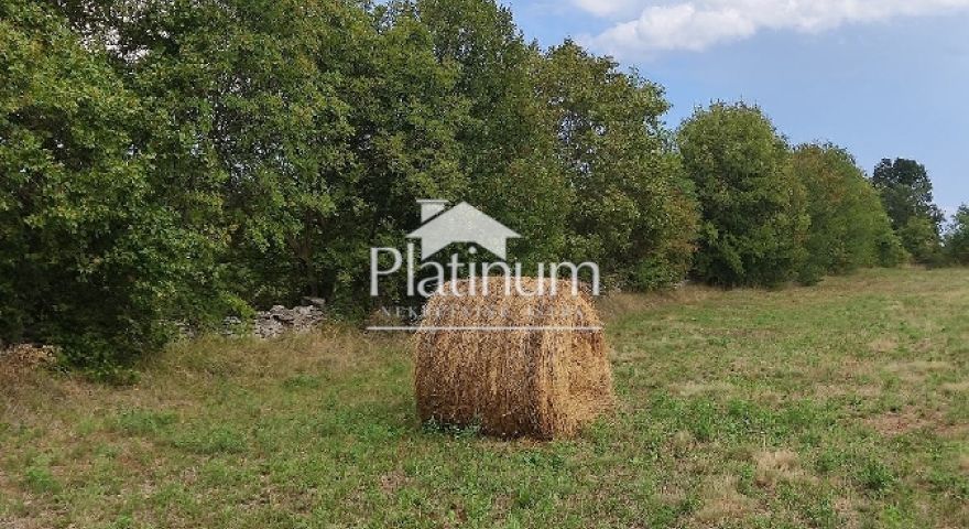 Istra, Filipana, Zemljište građevinsko poljoprivredno, 9970 m2, Istra, Filipana, Zemljište građevinsko poljoprivredno, 9970 m2,