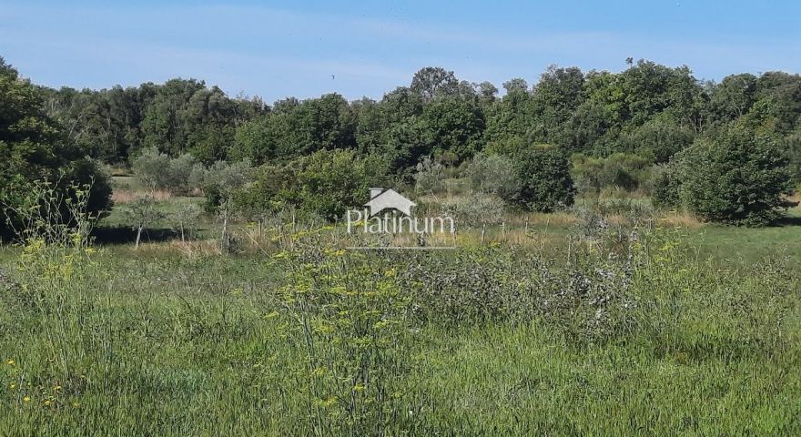 Terreno edificabile comune di Galižana Terreno edificabile comune di Galižana