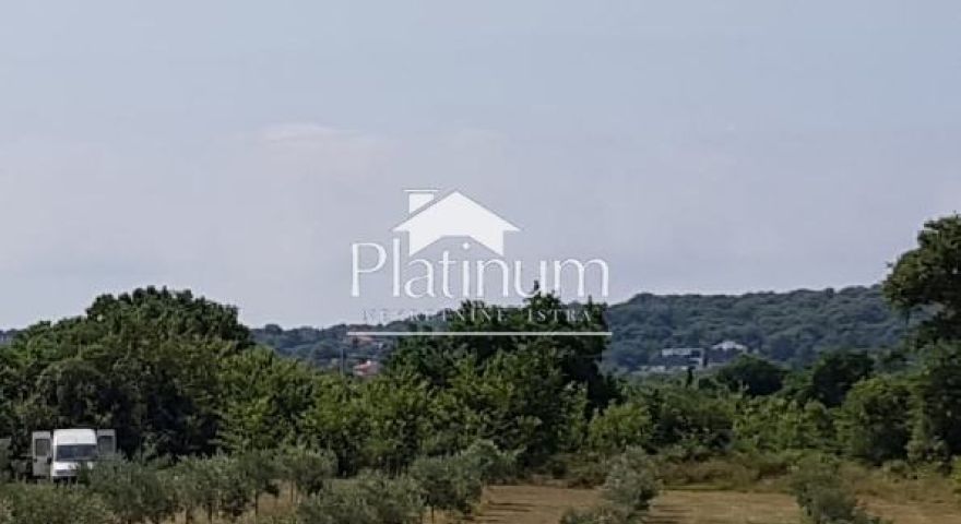 Ližnjan -oliveto con 100 ulivi curati Ližnjan -oliveto con 100 ulivi curati
