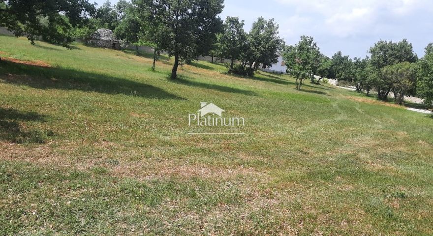 Terreno agricolo 572 m2, 2000 m dal mare e dalla spiaggia Terreno agricolo 572 m2, 2000 m dal mare e dalla spiaggia