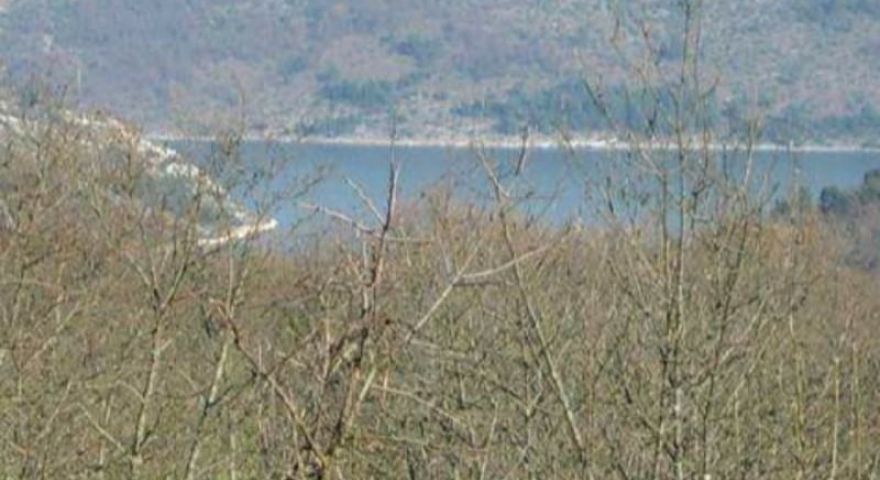 Istria, Marcana Rakalj, plot 5873 - parte della costruzione delle foreste Istria, Marcana Rakalj, plot 5873 - parte della costruzione delle foreste