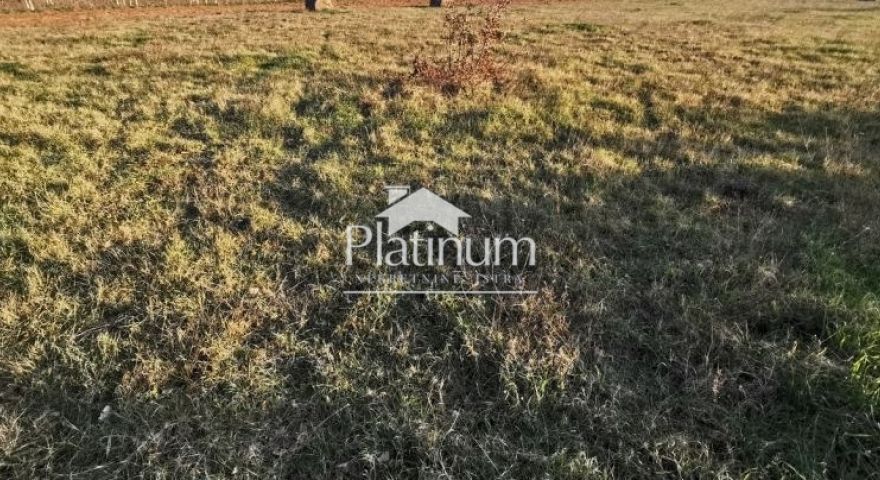 Istra, Šišan, poljoprivredno zemljište 1006 m2 Istra, Šišan, poljoprivredno zemljište 1006 m2