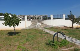 Istra,Pavićini poljoprivredna parcela s pogledom na more 