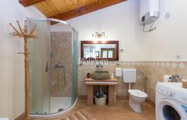 Istra, Savičenta, samostojeća autohtona kuća s okućnicom