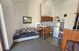 ISTRA BARBARIGA APARTMAN pogled more