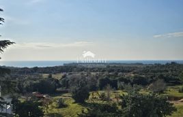 ISTRA BARBARIGA APARTMAN pogled more