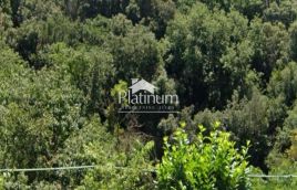 Pola, Grande monte, terreno edificabile 2907 m2