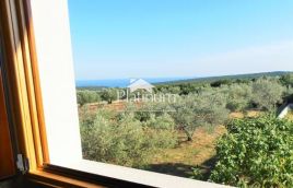 Istria, zona di Carnizza, due case in pietra istriane con piscina