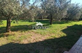 Istra, Galižana, dvije kamene kuće u rustikalnom stilu