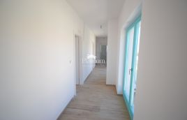 Istria, Barbariga, fantastica casa indipendente con piscina