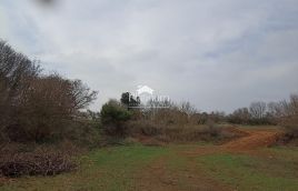 Istra,Šišan poljoprivredno zemljište 560 m2