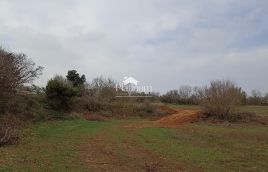 Istra, Šišan terreno agricolo 684 m2 in vendita