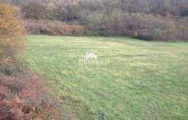 Istria, Canfanaro terreno adatto al turismo equestre