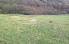 Istria, Canfanaro terreno adatto al turismo equestre