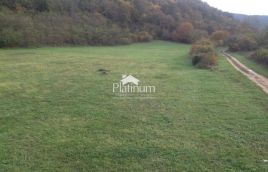 Istria, Canfanaro terreno adatto al turismo equestre