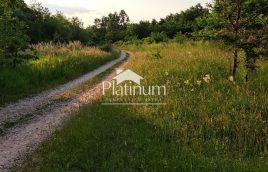 Istra, unutrašnjost, poljoprivredno zemljište