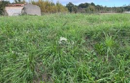Istra, Barban, lijepa građevinska zemljišta