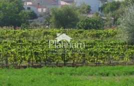 BARBAN, PREKRASNO GRAĐEVINSKO ZEMLJIŠTE 1300m2 HITNO