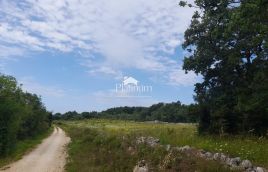 Istra Rovinj poljoprivredno zemljište veličine 21206 m2