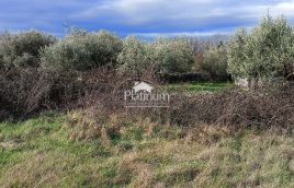 Istra, Smoljanci, poljoprivredno zemljište