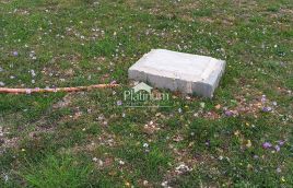 Istria, Fasana, terreno agricolo