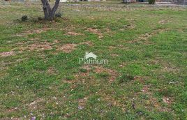 Istria, Fasana, terreno agricolo