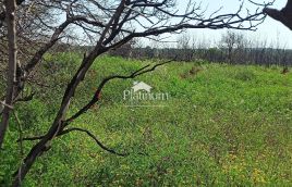 Istra, okolica Pule, građevinsko zemljište