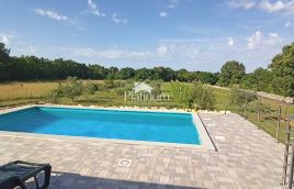 Istria, dintorni di Savičenta, casa per vacanze con uliveto e vigneto