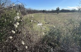 Istra,okolica Juršića, lijepo poljoprivredno zemljište